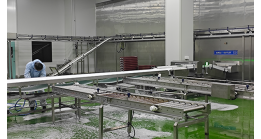 Cleaning and Disinfection of Food Factories Is Not A Simple Scrubbing and Washing